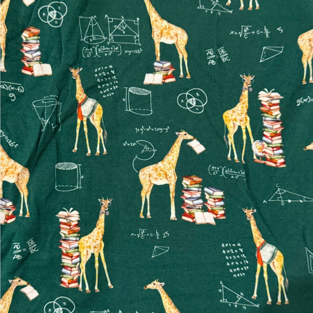 Posh Peanut Green Giraffe Pajama Set Excellent barely worn condition. Size 12.